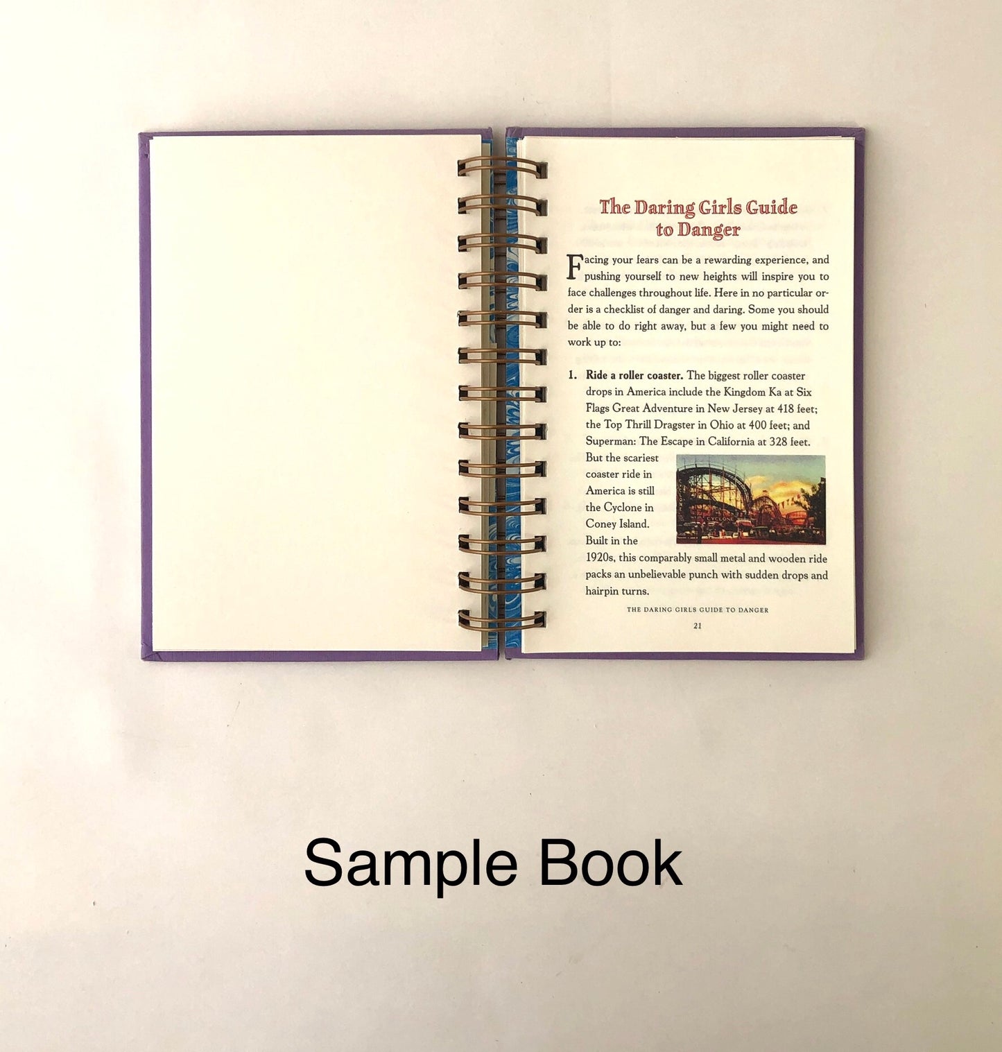 The Daring Book for Girls-Red Barn Collections