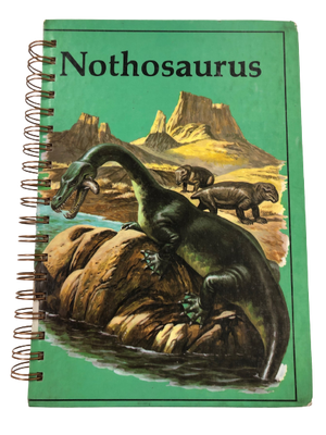 Nothosaurus-Red Barn Collections