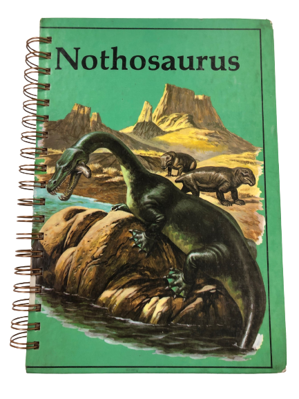 Nothosaurus-Red Barn Collections