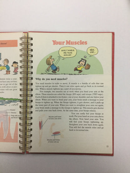 Charlie Brown's Encyclopedia Journal-Red Barn Collections