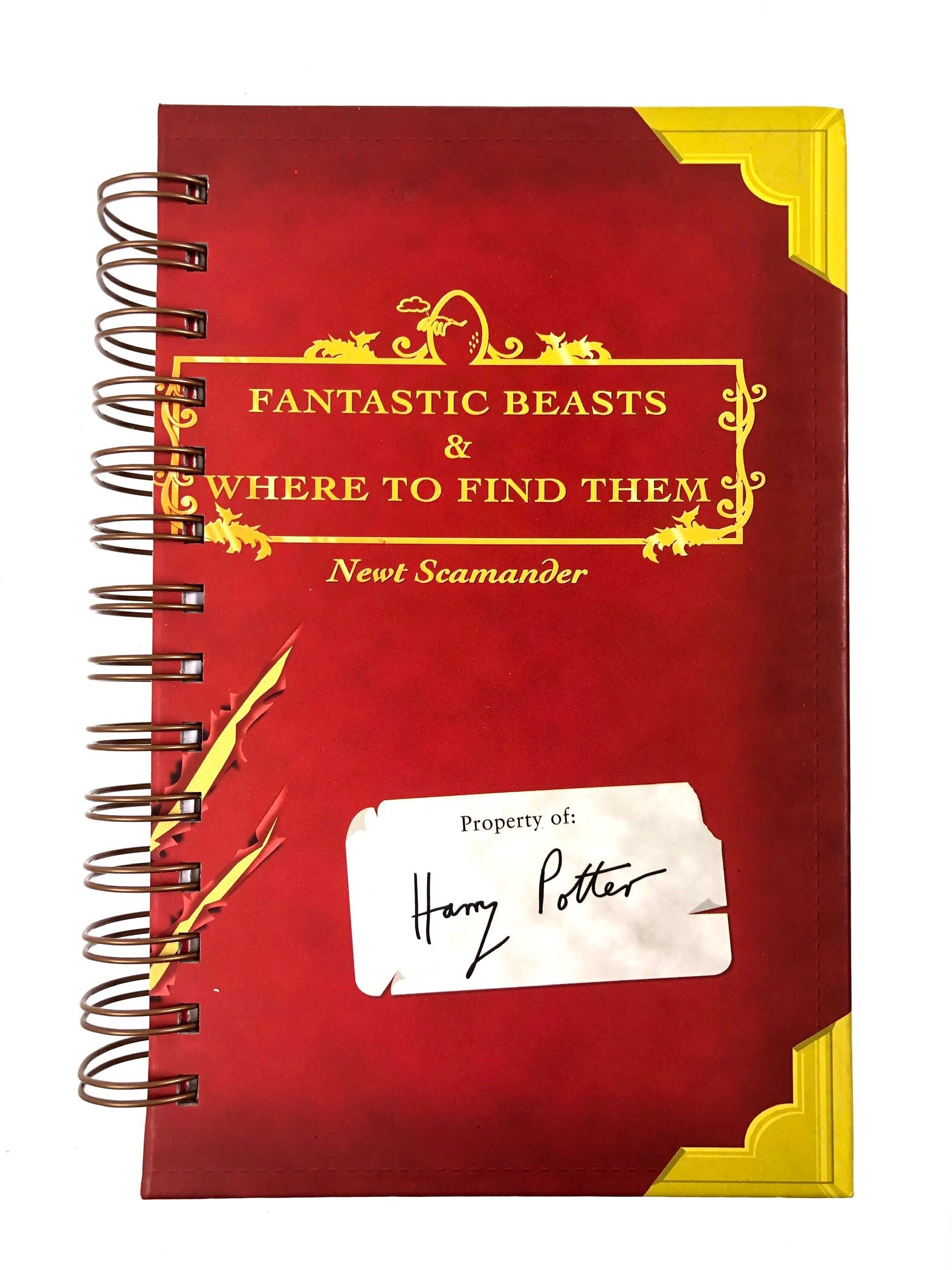 Fantastic Beasts and Where to Find Them-Red Barn Collections