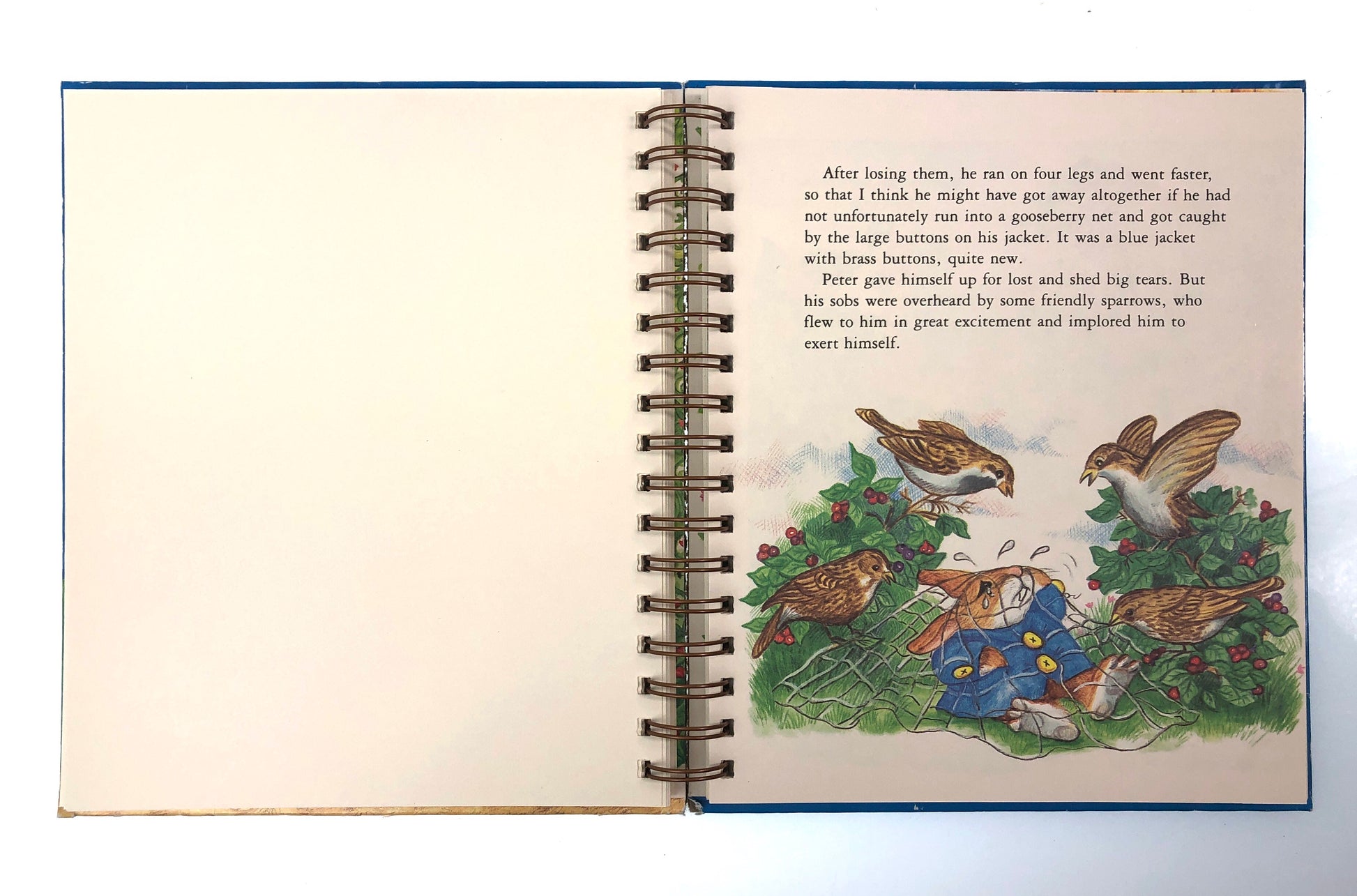 The Tale of Peter Rabbit Book Journal-Red Barn Collections