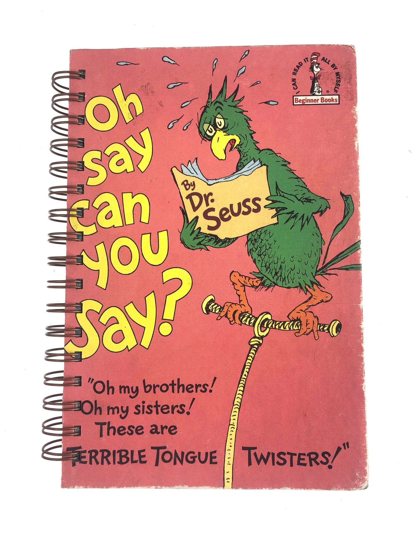 Oh Say Can You Say?-Red Barn Collections